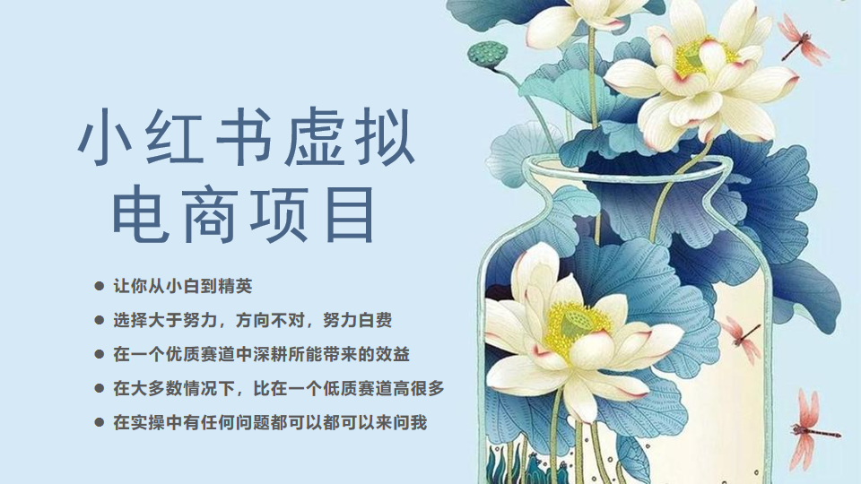 小红书虚拟电商从0到1小白到精英（20节实操课程）-淘秘副业
