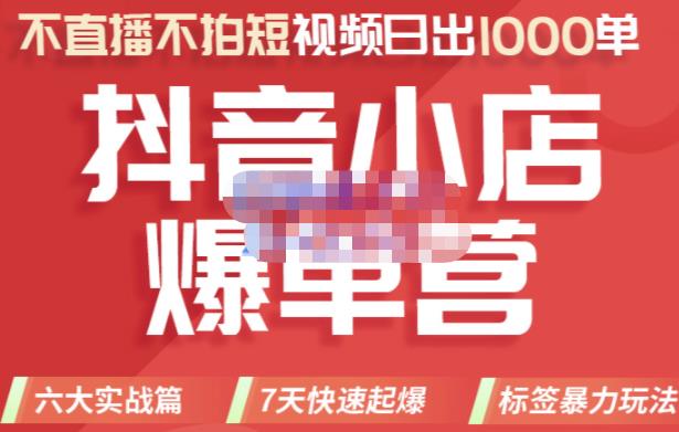 推易电商·2022年抖音小店爆单营，不直播、不拍短视频、日出1000单，暴力玩法-淘秘副业