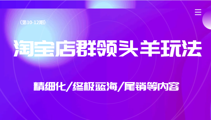 淘宝店群领头羊玩法,精细化/终极蓝海/尾销等内容(第10-12期) 淘宝店群领头羊玩法,精细化/终极蓝海/尾销等内容(第10-12期)