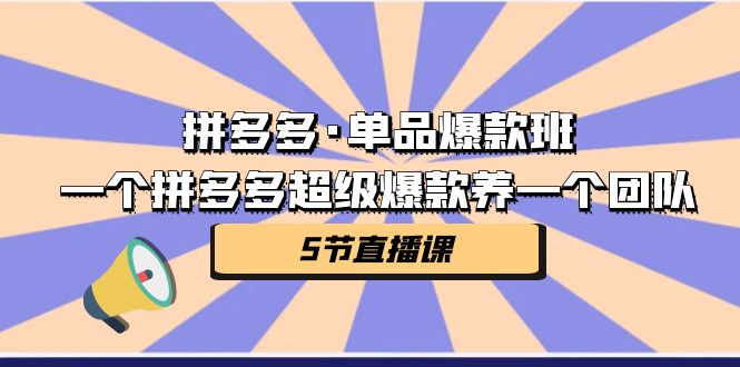 (7019期)拼多多·单品爆款班,一个拼多多超级爆款养一个团队(5节直播课) (7019期)拼多多·单品爆款班,一个拼多多超级爆款养一个团队(5节直播课)