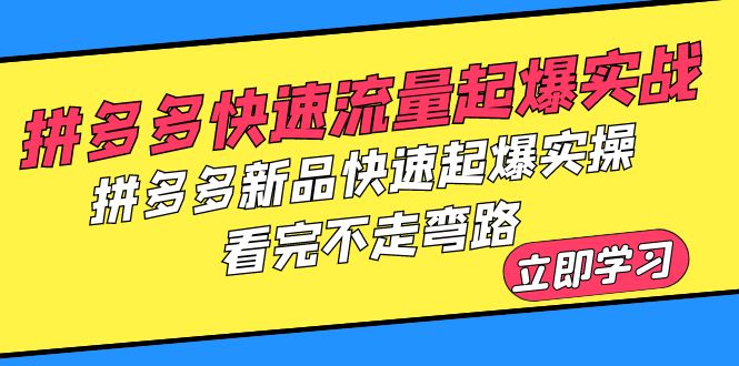 拼多多-快速流量起爆实战，拼多多新品快速起爆实操，看完不走弯路-淘秘副业