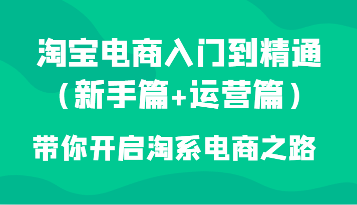 淘宝电商入门到精通（新手篇+运营篇）带你开启淘系电商之路-淘秘副业