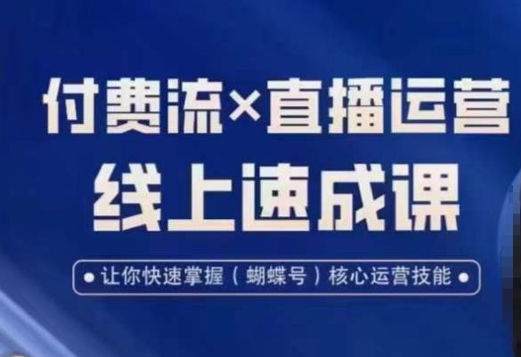 视频号付费流实操课程，付费流✖️直播运营速成课，让你快速掌握视频号核心运营技能-淘秘副业