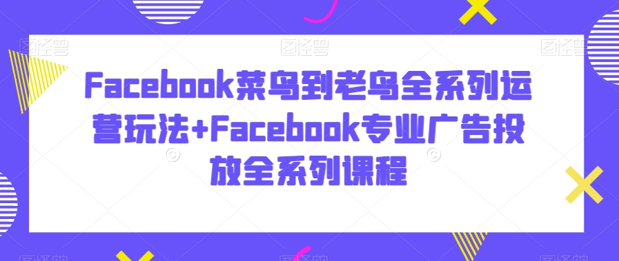 FACEBOOK菜鸟到老鸟全系列运营玩法+FACEBOOK专业广告投放全系列课程-淘秘副业