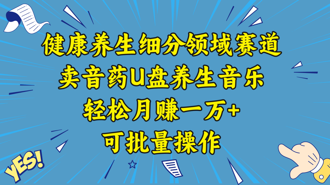 五行音乐养生：细分领域赛道卖音药U盘，打造轻松月赚一万+的健康养生项目-淘秘副业