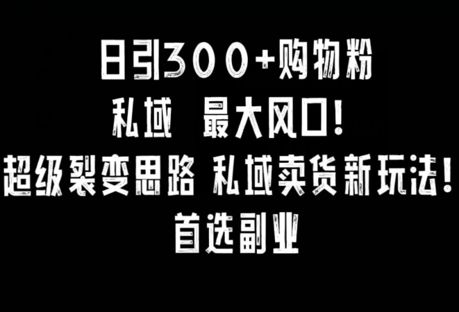 每日引300+购物粉，超级裂变新思路，私域卖货新玩法，小红书首选副业-淘秘副业