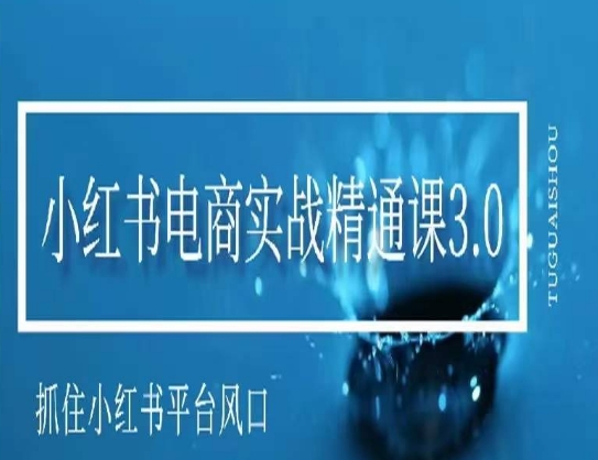 小红书电商实战课程，抓住小红书平台的风口，不错过有一个赚钱的机会-淘秘副业