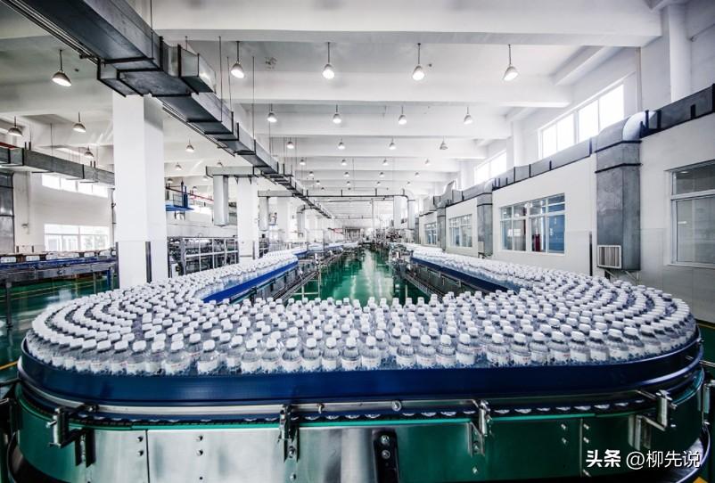 图片[2]-2024中国软饮料新排位：李子园第9，承德露露第6，康师傅位居第3-淘秘副业