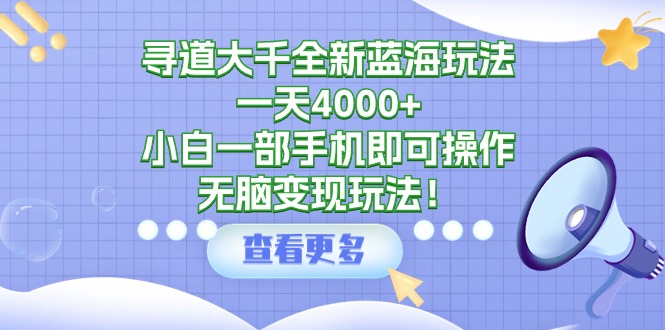寻道大千全新蓝海玩法，一天4000+，小白一部手机即可操作，无脑变现玩法！-淘秘副业