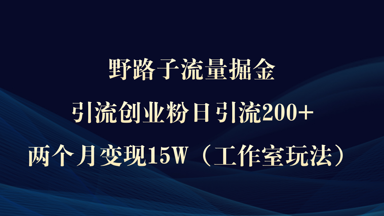 野路子流量掘金，引流创业粉日引流200+，两个月变现15W（工作室玩法））-淘秘副业