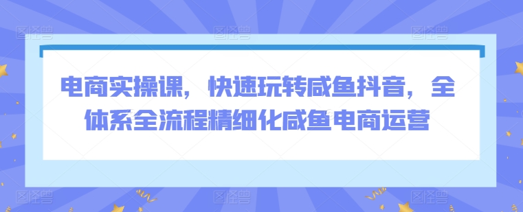 电商实操课，快速玩转咸鱼抖音，全体系全流程精细化咸鱼电商运营-淘秘副业