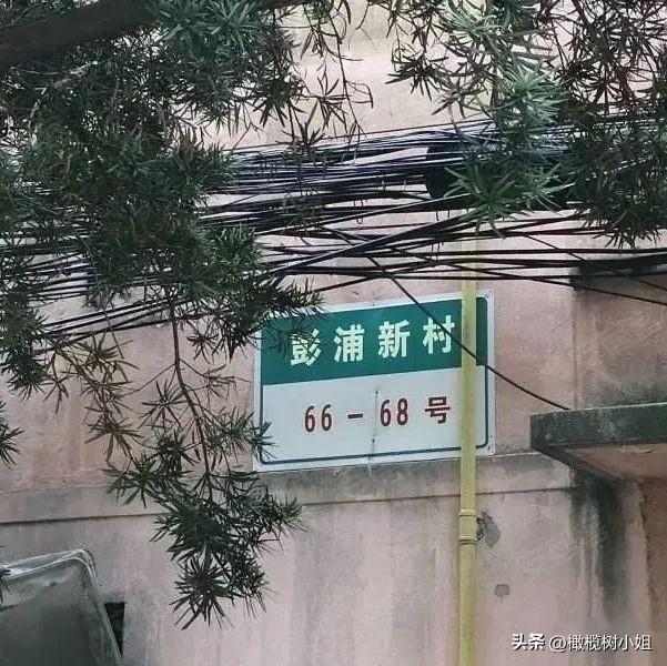 图片[2]-房子70年产权到期后，我们住哪儿？房子归谁？上海真实案例来了-淘秘副业