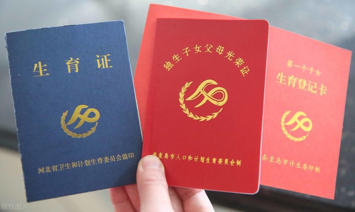 图片[2]-2024年，独生子女父母养老金5000元，每月补贴能有400元吗？看看-淘秘副业