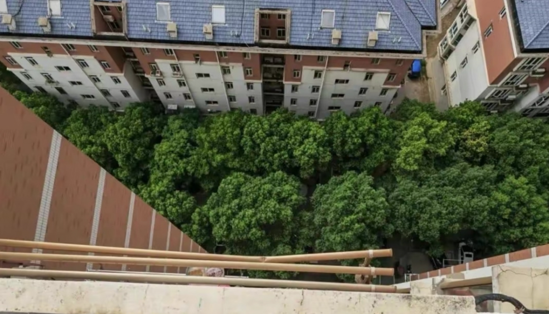 图片[9]-为什么回迁房没人愿意买了？拆迁户称：有3个缺点无法忍受-淘秘副业