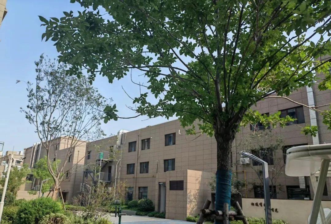 图片[13]-为什么回迁房没人愿意买了？拆迁户称：有3个缺点无法忍受-淘秘副业