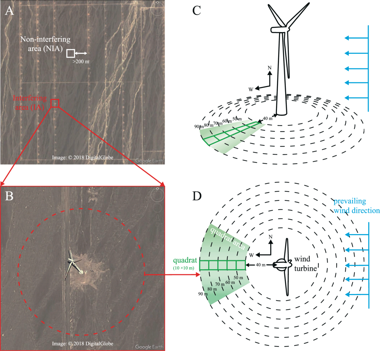 图片[7]-风力发电危害有多大？付：欧美眼中的“垃圾电”，中国为何却大力建设？-淘秘副业