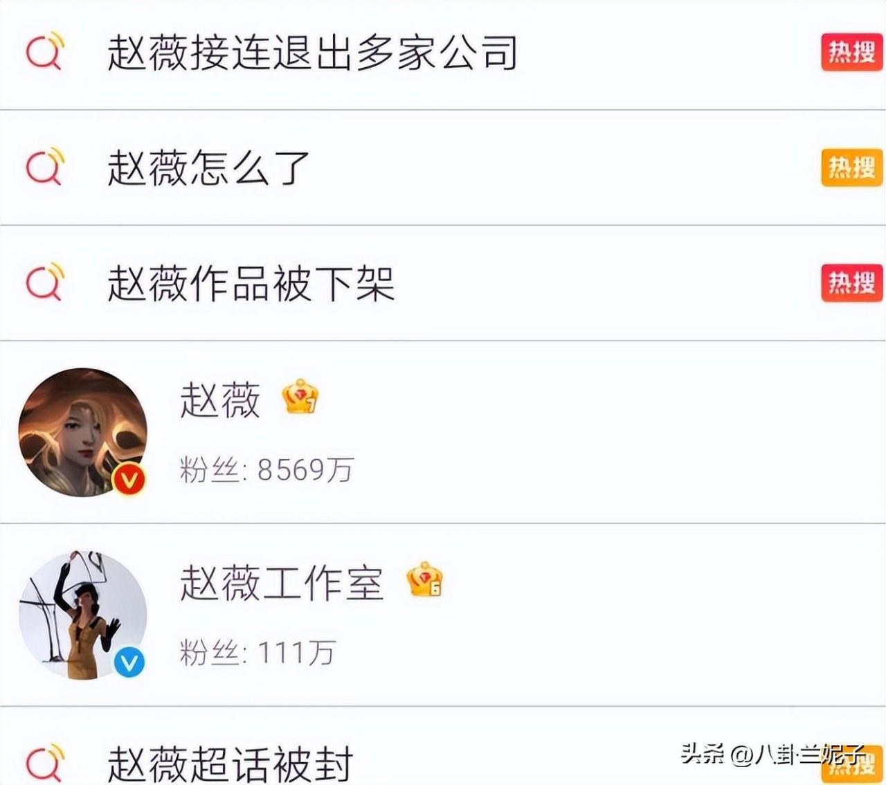 图片[7]-赵薇个人简介（赵薇为什么被全网封主要原因）-淘秘副业