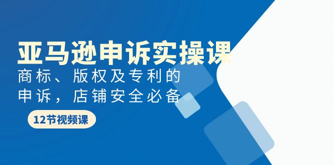 亚马逊-申诉实战课，商标、版权及专利的申诉，店铺安全必备-淘秘副业