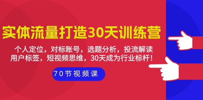 30天实体店铺流量打造训练营：个人定位，对标账号，选题分析，投流解读-70节-淘秘副业