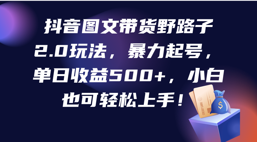 抖音图文带货野路子2.0玩法，暴力起号，单日收益500+，小白也可轻松上手！-淘秘副业