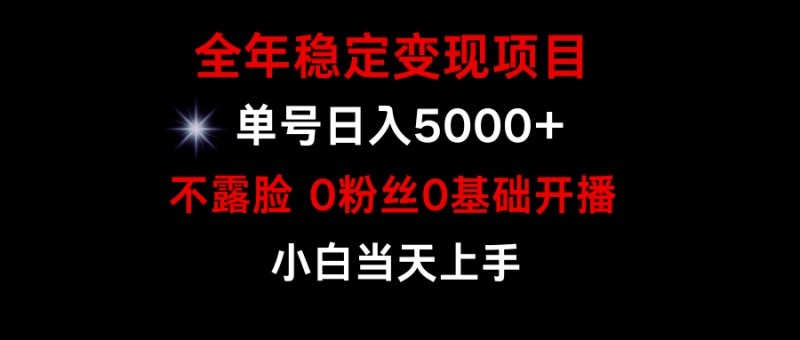 全年稳定变现，小游戏月入15w+项目，普通小白如何通过游戏直播改变命运-淘秘副业