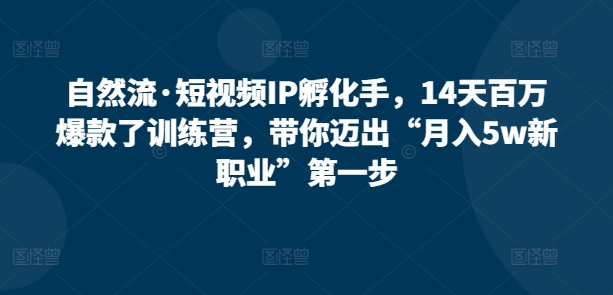 自然流·短视频IP孵化训练营，14天打造百万爆款，带你迈出“月入5W新职业”第一步-淘秘副业