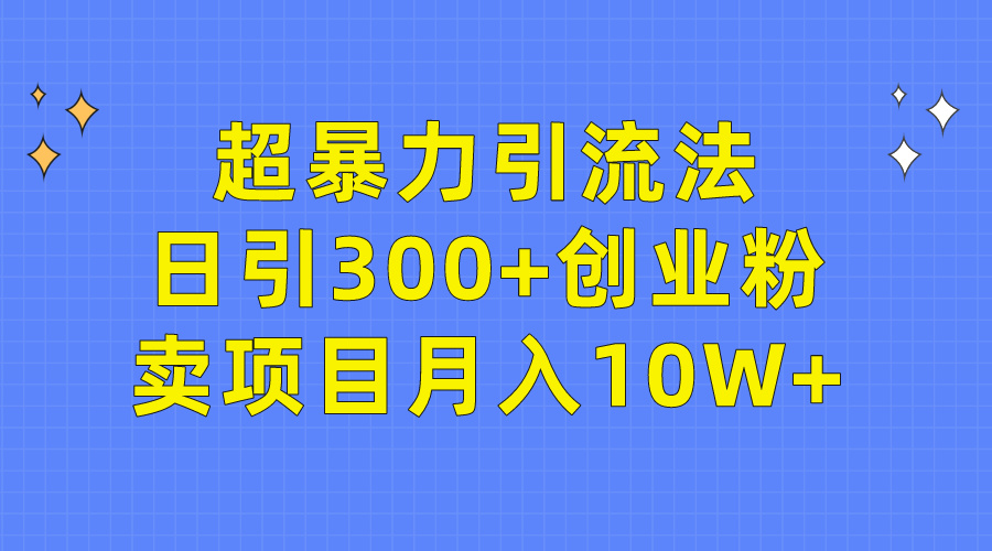 轻松超暴力引流法，日引300+创业粉，卖项目月入10W+-淘秘副业