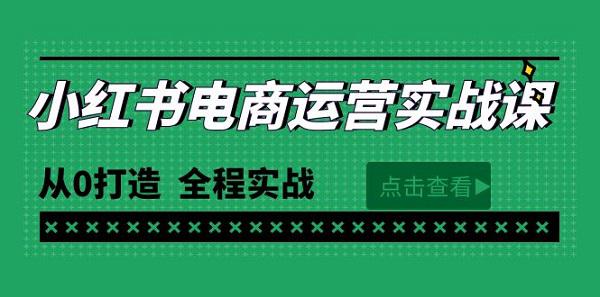 最新小红书·电商运营实战课，从0打造 全程实战（65节视频课）-淘秘副业