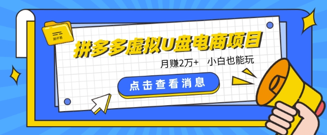 拼多多虚拟U盘电商：月赚2万+，红利项目，普通小白也能玩-淘秘副业