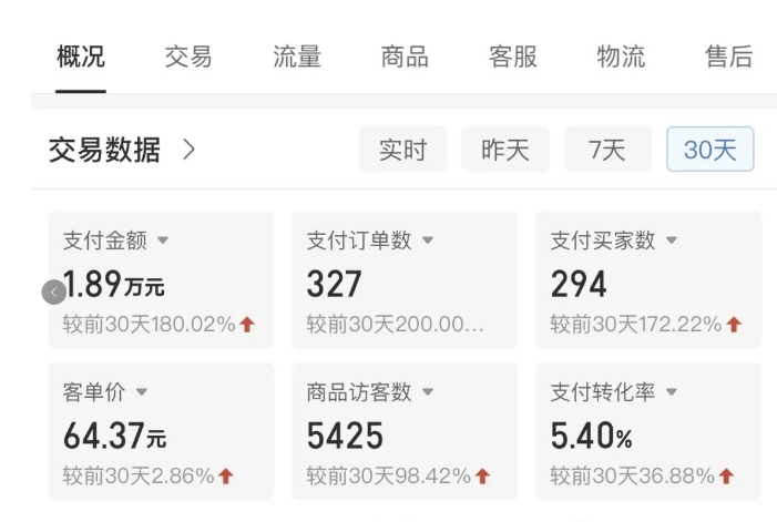 拼多多虚拟U盘电商：月赚2万 ，红利项目，普通小白也能玩 -2