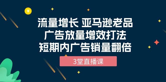 流量增长课程：亚马逊老品广告放量增效打法，短期内广告销量翻倍（3堂直播课）-淘秘副业