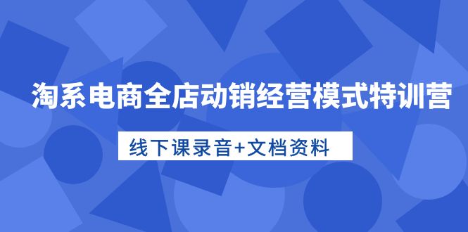 淘系电商运营高手特训：全店动销经营模式，线下课录音+文档资料-淘秘副业