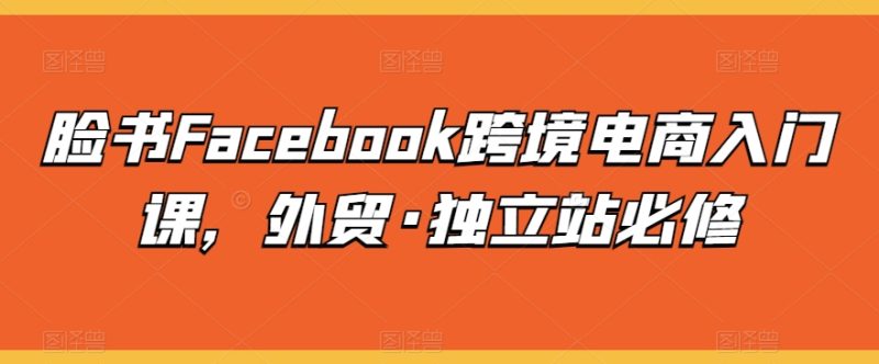 脸书FACEBOOK跨境电商入门课，外贸·独立站必修-淘秘副业