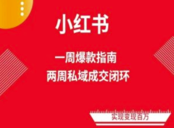 小红书流量秘籍：两周速成爆款笔记，解锁免费流量池-淘秘副业