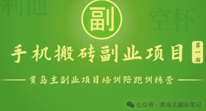 手机搬砖小副业项目训练营1.0，实测1小时收益50+，一部手机轻松日入100+-淘秘副业