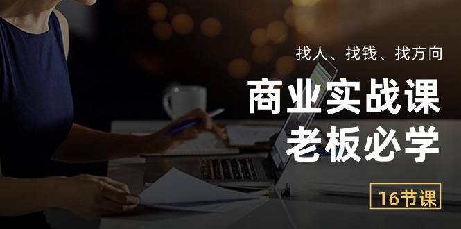 商业实战课【老板必学】：找人、找钱、找方向（16节课）-淘秘副业