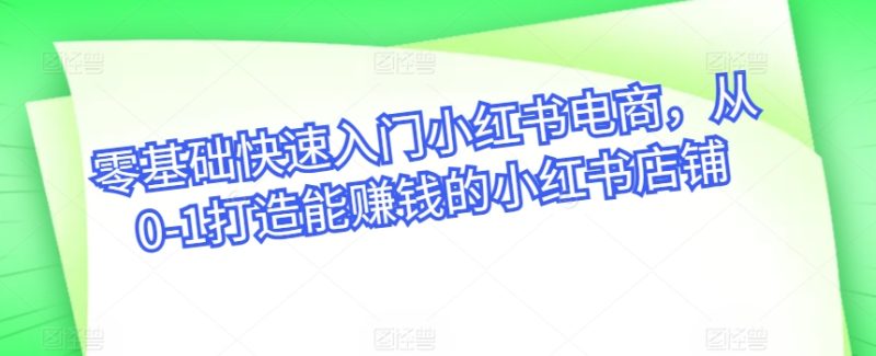 小红书电商实战宝典：从开店到爆款，轻松实现月入过万-淘秘副业