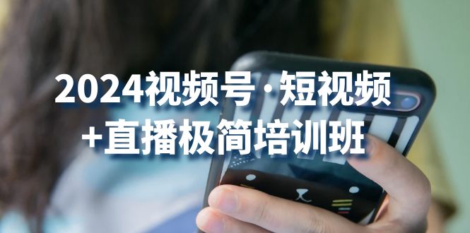 2024视频号·短视频+直播极简培训班：抓住视频号风口，流量红利-淘秘副业