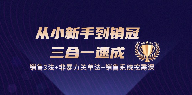 从小新手到销冠 三合一速成：销售3法+非暴力关单法+销售系统挖需课 (27节)-淘秘副业