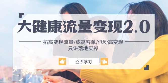 大健康 流量 变现2.0：拓高变现 流量/成高客单/低粉高变现/只讲落地实战-淘秘副业