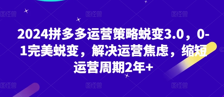 2024拼多多运营策略蜕变3.0，0-1完美蜕变，解决运营焦虑，缩短运营周期2年+-淘秘副业