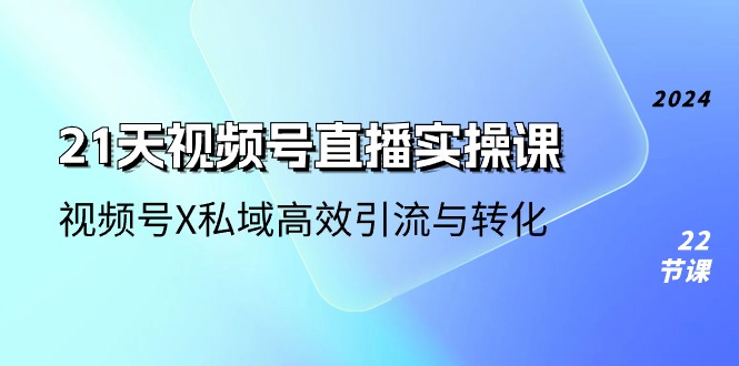 21天-视频号直播实操课，视频号X私域高效引流与转化（22节课）-淘秘副业