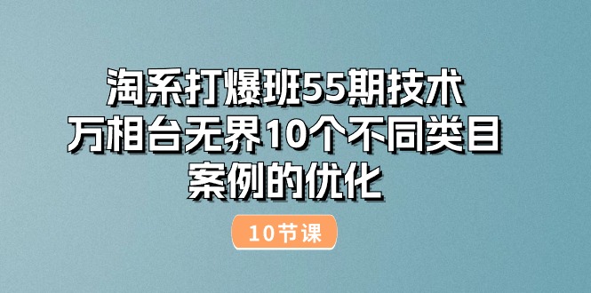 淘系打爆班55期技术：万相台无界10个不同类目案例的优化（10节）-淘秘副业