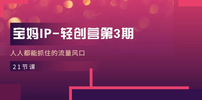 宝妈IP-轻创营第3期，人人都能抓住的流量风口（21节课）-淘秘副业