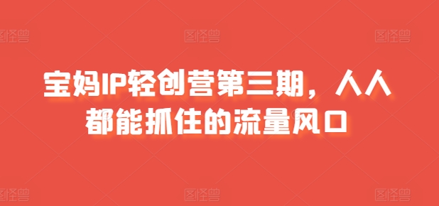 宝妈IP轻创营第三期，人人都能抓住的流量风口-淘秘副业