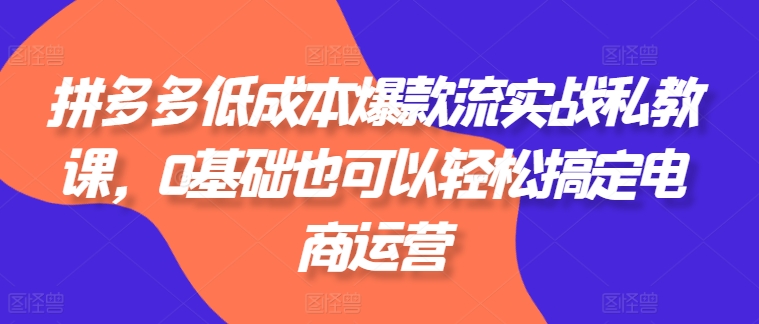拼多多低成本爆款流实战私教课，0基础也可以轻松搞定电商运营-淘秘副业