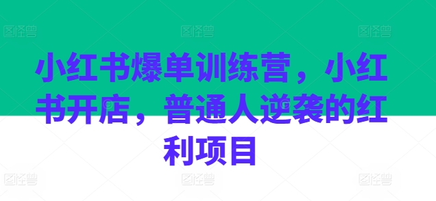 小红书爆单训练营，小红书开店，普通人逆袭的红利项目-淘秘副业