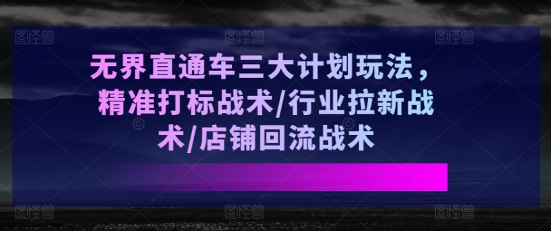 无界直通车三大计划玩法，精准打标战术/行业拉新战术/店铺回流战术-淘秘副业