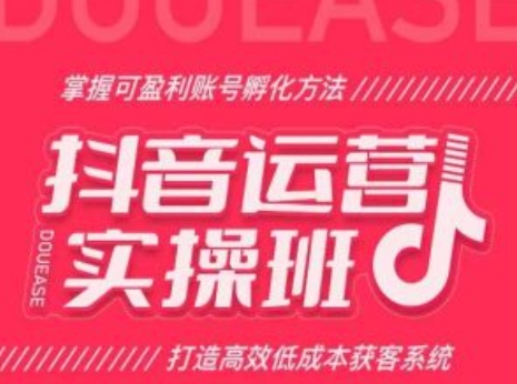 抖音运营实操班，掌握可盈利账号孵化方法，打造高效低成本获客系统-淘秘副业