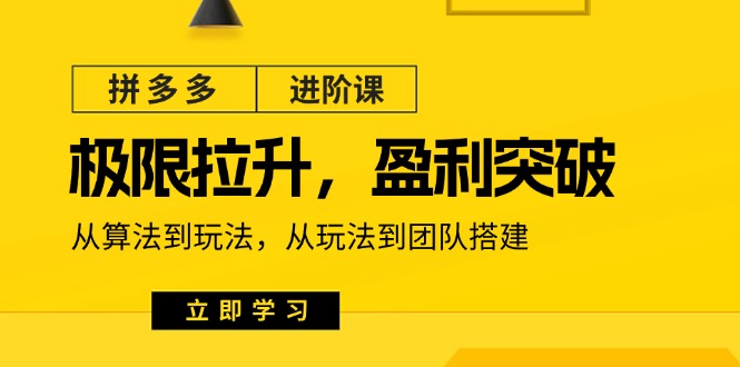 拼多多·进阶课：极限拉升/盈利突破：从算法到玩法 从玩法到团队搭建-18节-淘秘副业